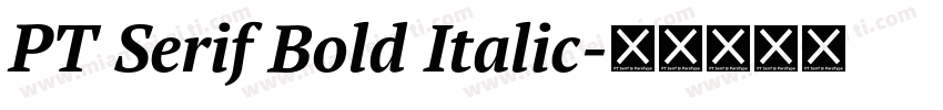 PT Serif Bold Italic字体转换